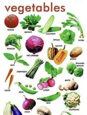 蔬菜类的英文,关于蔬菜类的英语单词图4