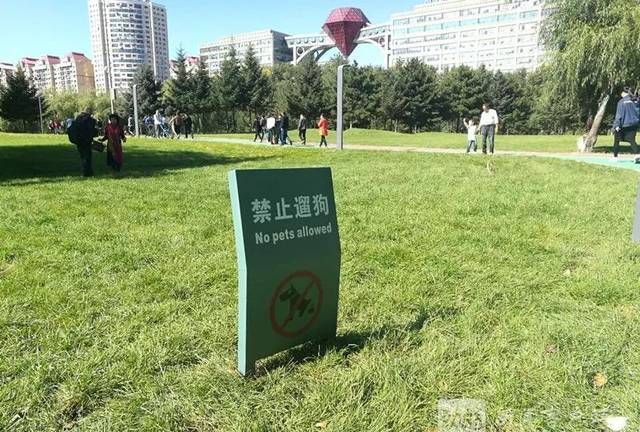不能踩草地的英文,"不要在草地上行走"翻译成英文图3
