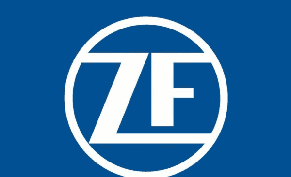 tzf的英文,zf是什么意思的缩写网络图1