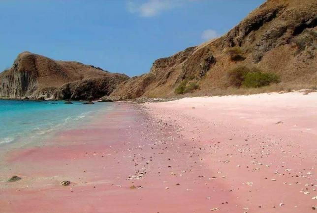 粉色沙滩在哪里,粉色沙滩周杰伦哪个国家图1