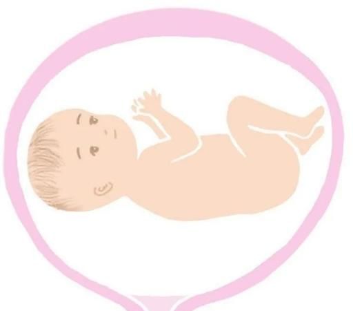 孕晚期胎头在哪里,孕晚期怎么保持头位图2