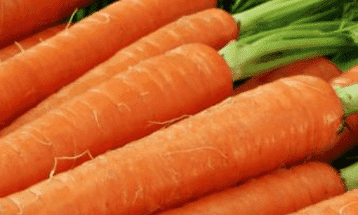 萝卜的英文carrots,carrot用英语怎么说图1