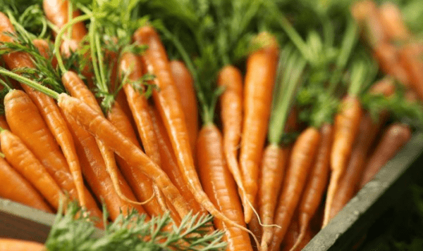萝卜的英文carrots,carrot用英语怎么说图4