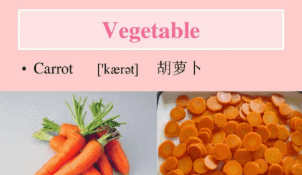 萝卜的英文carrots,carrot用英语怎么说图5