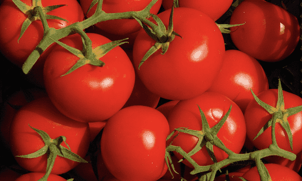 西红柿的英文,西红柿的英语怎么说图2